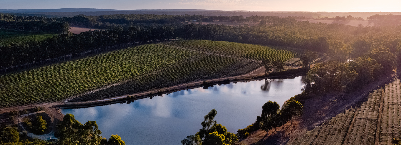 Aerial shot of Howard Park estate 